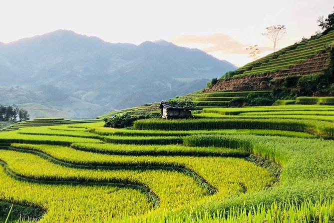 Trekking Sapa 1 Day - the Best Terraced Rice Field - Meeting and Pickup Options