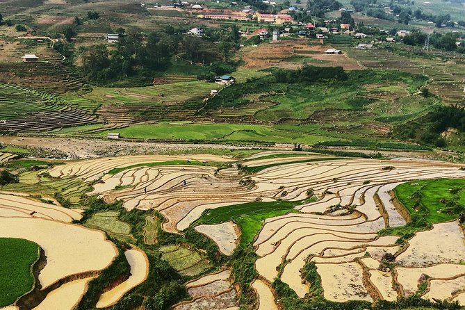 Trekking Sapa 1 Day - the Best Terraced Rice Field - Fitness and Accessibility