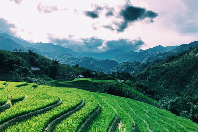 Trekking Sapa 1 Day - the Best Terraced Rice Field - Transportation and Location