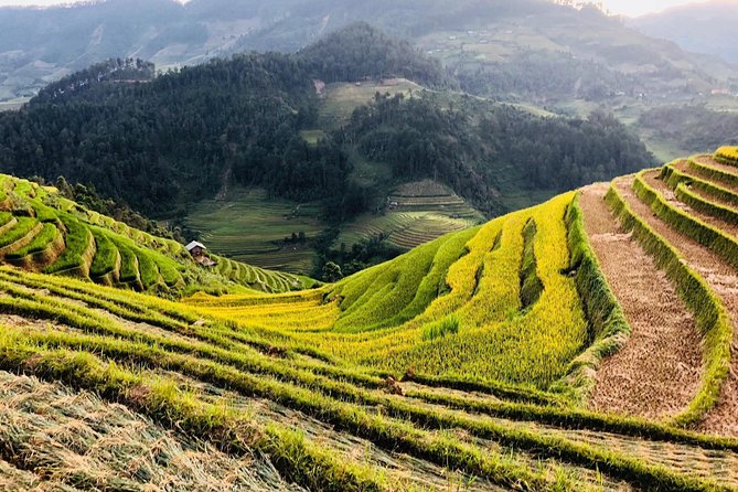 Trekking Sapa 1 Day - the Best Terraced Rice Field - Tour Guide Expertise