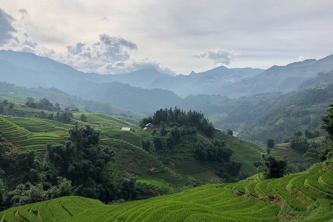 Trekking Sapa 1 Day - the Best Terraced Rice Field - Traveler Reviews and Feedback