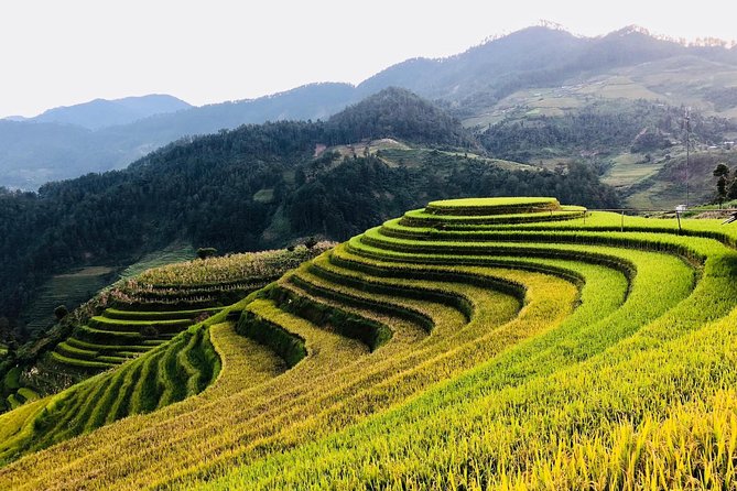 Trekking Sapa 1 Day - the Best Terraced Rice Field - Booking and Cancellation Policy