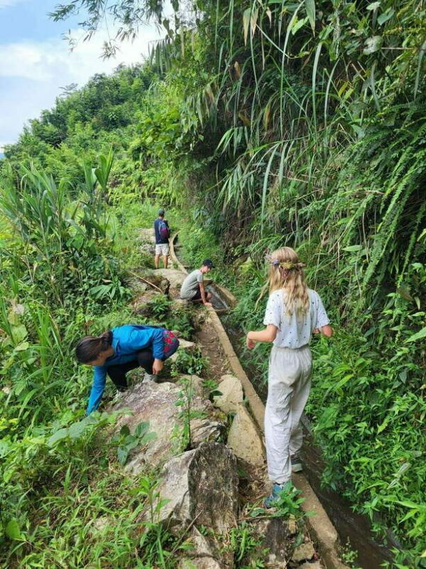 Trekking Sapa 1 Day With Local Guide, Terraced Rice Fields - Key Points