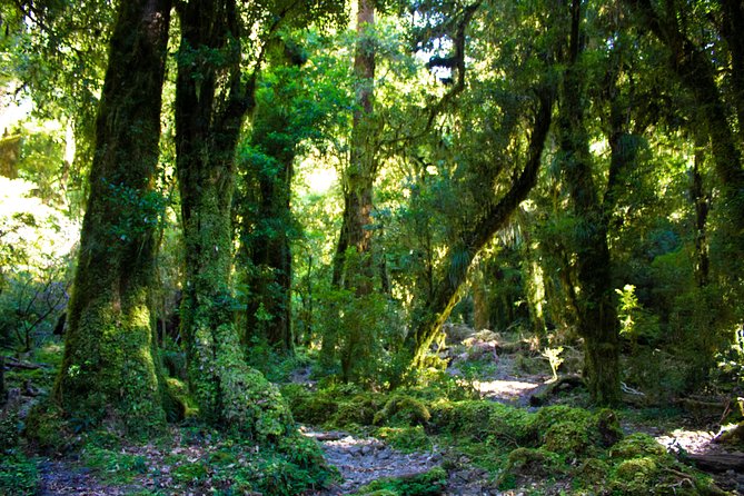 Trekking Slides Valle De La Junta, Cochamó - Health and Safety Considerations