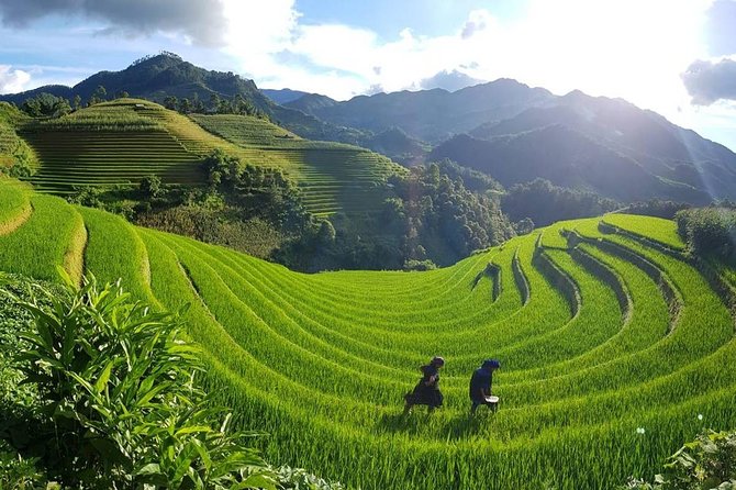 Trekking the Northern Trails of Vietnam 9 Days 8 Nights - Physical Activity and Accessibility