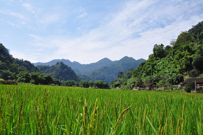 Trekking the Northern Trails of Vietnam 9 Days 8 Nights - Reviews and Experiences