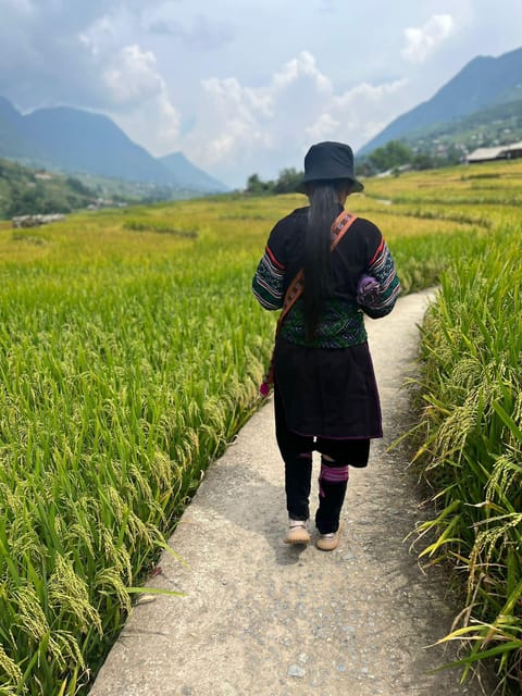 Trekking Through Rice Terraced Fields - 1 Day Private Tour - Pickup and Transportation