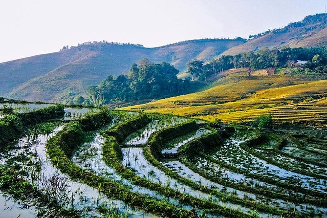 Trekking Through Rice Terraced Fields - 1Day​ - Accessibility and Fitness Level