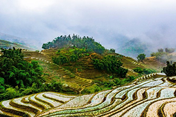 Trekking Through Rice Terraced Fields - 1Day​ - Booking and Confirmation