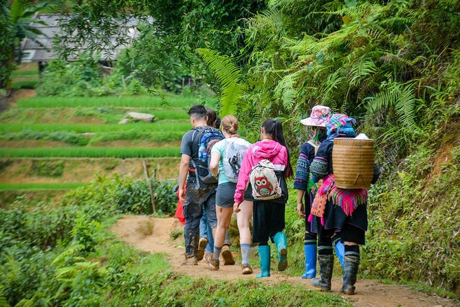 Trekking Through Rice Terraced Fields - 1Day​ - Tour Highlights