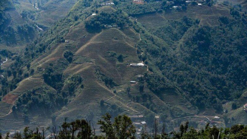 Trekking Through Rice Terraced Fields - Bamboo Forest Trek