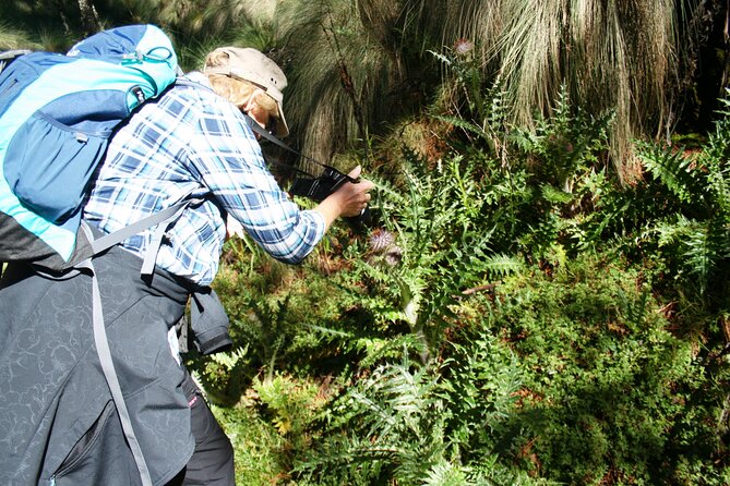 Trekking Through The Volcanoes - Exploring Iztaccihuatl-Popocatepetl National Park