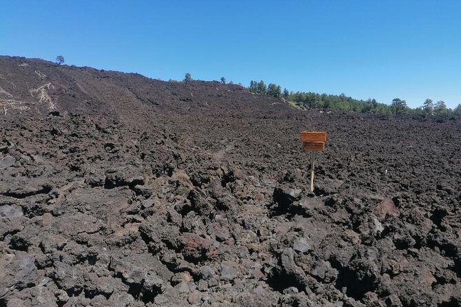 Trekking to Bottoniera Craters - Accolades From Past Participants