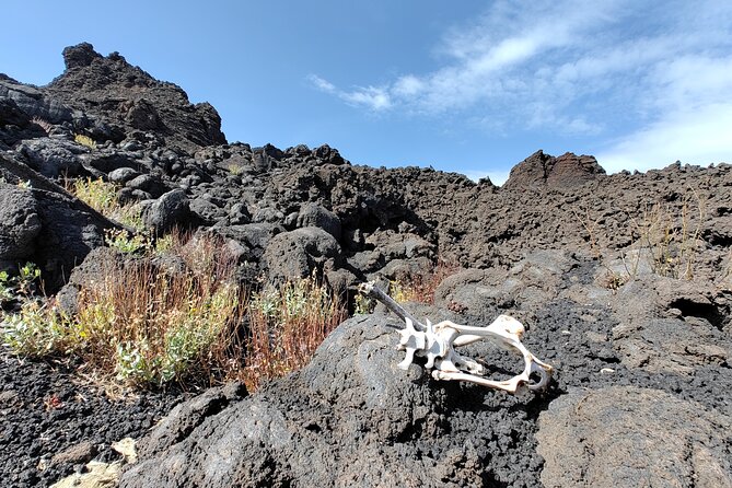 Trekking to Bottoniera Craters - Meet Your Volcanological Guide