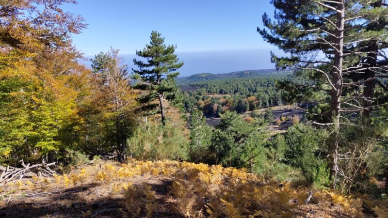 Trekking to Bottoniera Craters - Trekking Experience