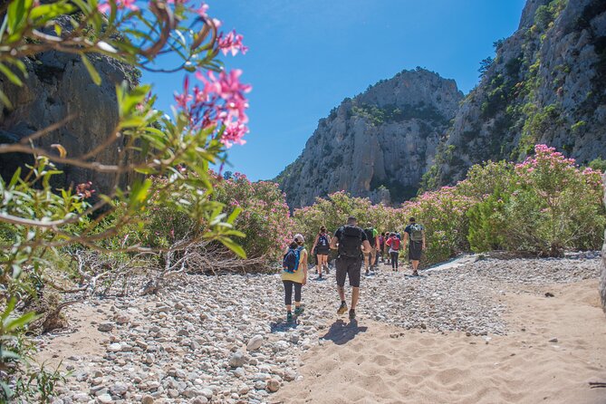 Trekking to Cala Luna, the Pearl of the Gulf of Orosei - Required Fitness Level