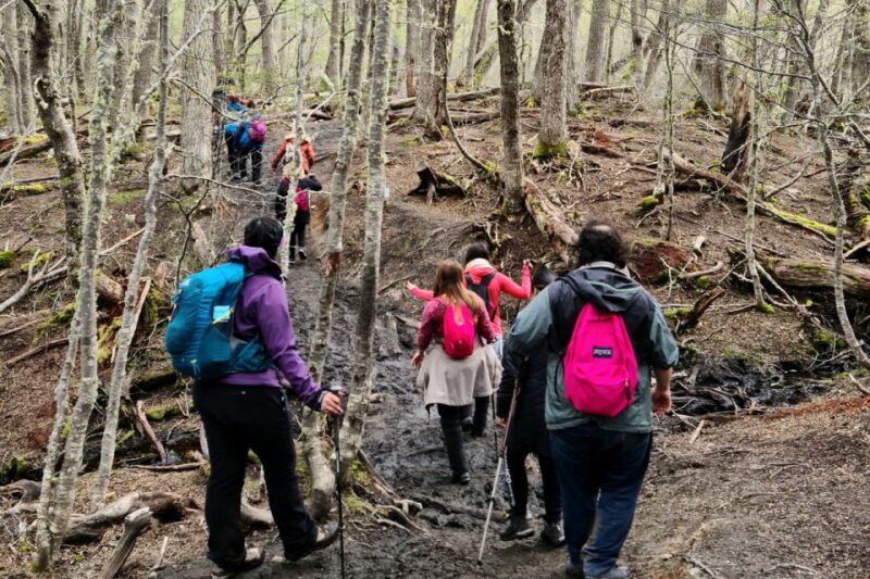 Trekking to Emerald Lagoon - Inclusions and Requirements