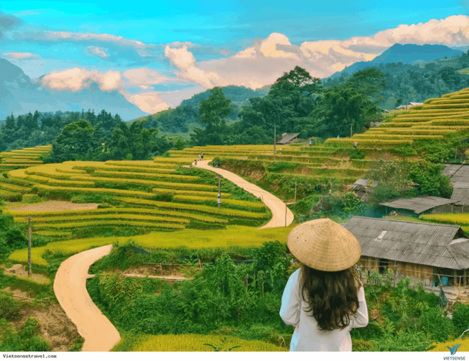 Trekking To Local Village In Sapa, See Rice Fields In 2 Days - Contact Information
