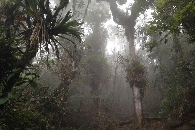 Trekking to Pico De Loro - Overview of Pico De Loro Trek