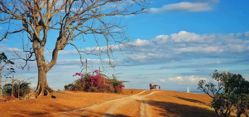 Trekking to See the Beautiful View of Cebu City - Participant Information