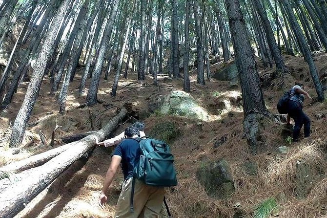 Trekking to the Highest Waterfall in Sri Lanka From Ella - History and Significance of the Waterfall