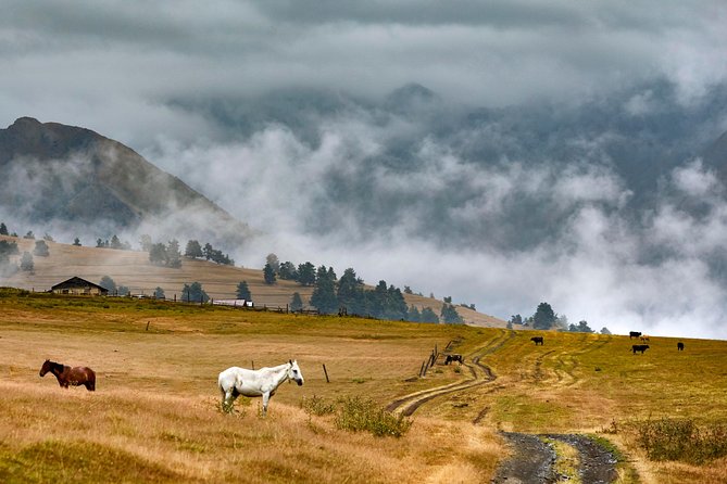 Trekking Tour From Tusheti to Kazbegi With Only Two Overnight Stays in Tents. - Inclusions and Highlights