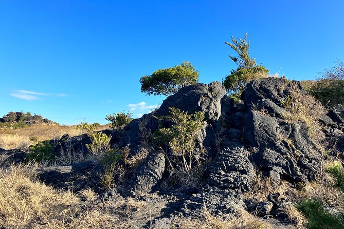 Trekking Volcanic Island in Izu Oshima - What to Bring and Wear