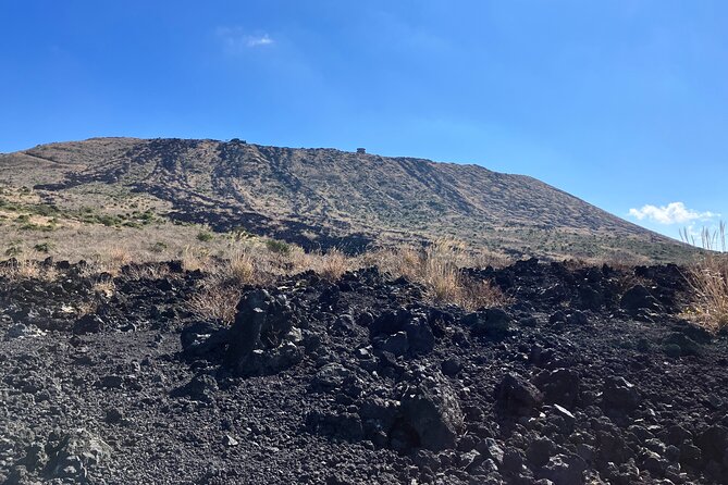 Trekking Volcanic Island in Izu Oshima - Booking and Confirmation Details