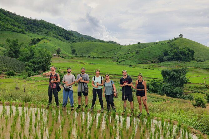 Trekking with Lunch cooked by Bamboo in the Chiang Rai jungle - Exploring the Chiang Rai Jungle: A Detailed Review of the Bamboo-Cooked Lunch Trek