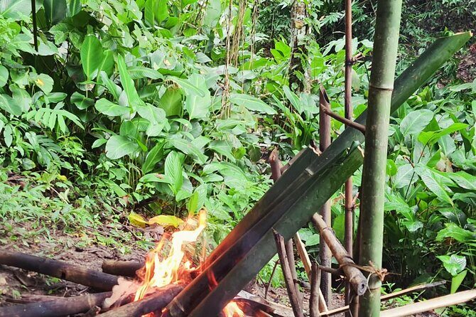Trekking with Lunch cooked by Bamboo in the Chiang Rai jungle - Price and Value: What Does $58.32 Get You?