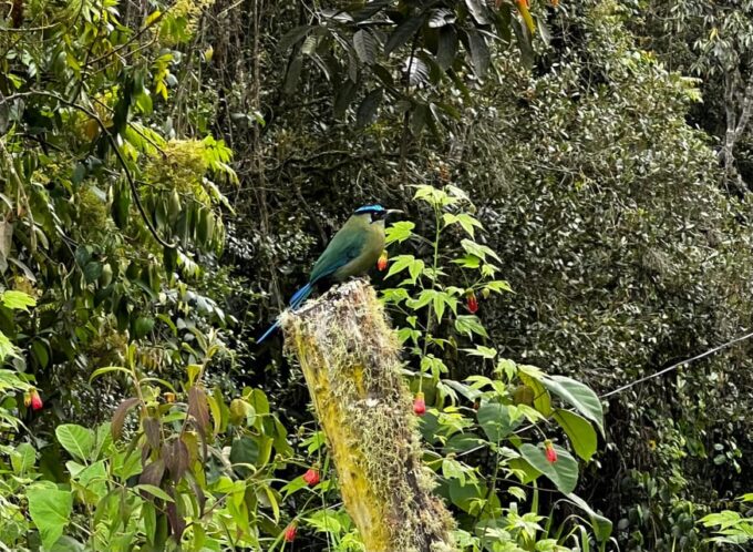Trekking, Zipline, and Waterfalls at El Salto Del Buey - Pickup Locations