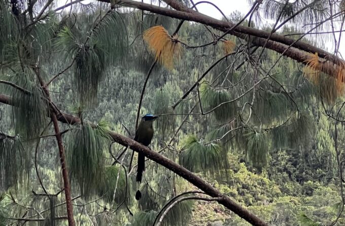 Trekking, Zipline, and Waterfalls at El Salto Del Buey - Transportation Options