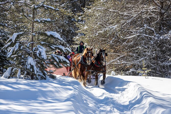 Tremblant Sleighride - Inclusions and Amenities