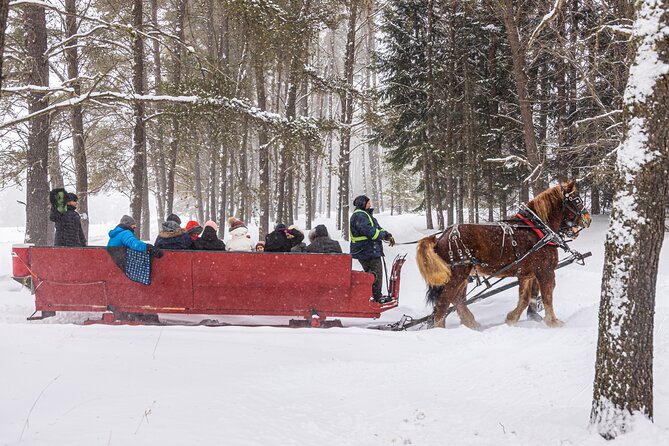 Tremblant Sleighride - Traveler Age Requirements
