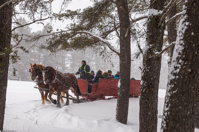 Tremblant Sleighride - Reviews and Ratings
