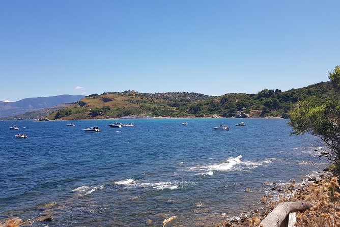 Tresino Hike - Cilento National Park Coast - Reviews and Visitor Feedback