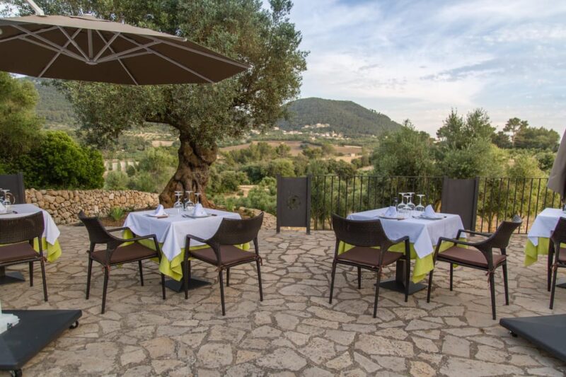 Treurer: Mediterranean Barbecue Night - Meeting Point and Directions