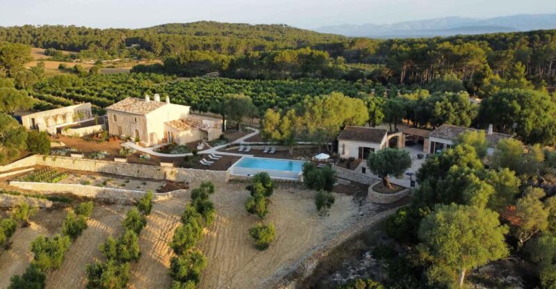 Treurer: Olive Oil Night. Gastronomic Experience - Key Points