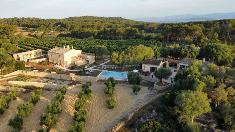 Treurer: Olive Oil Night. Gastronomic Experience - Olive Oil Production Insights