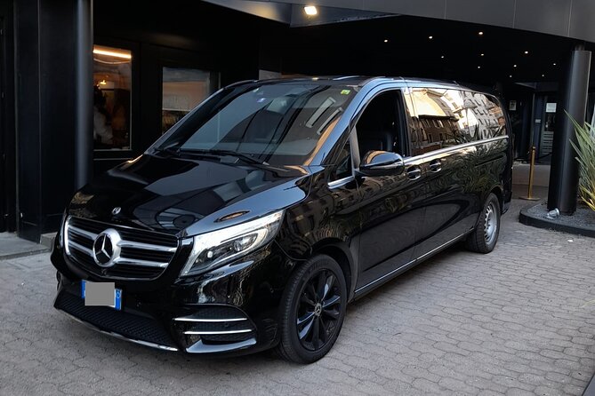 Treviso Airport (TSF) to Venice - Arrival Private Transfer - Luggage and Accessibility