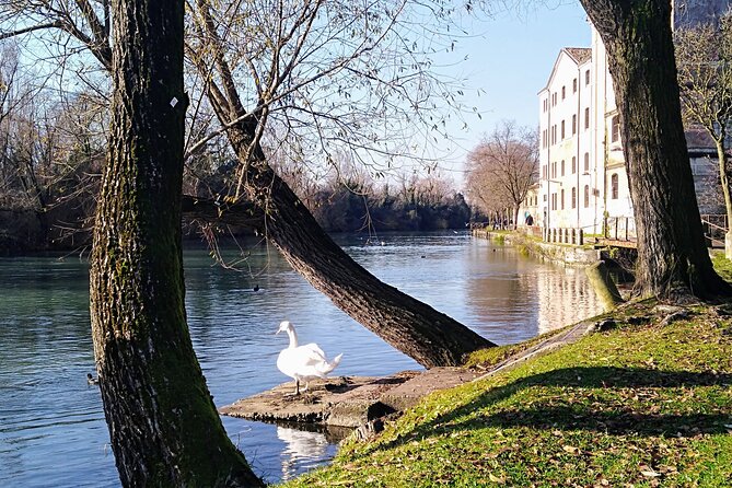 Treviso Tiramisù and the Sile River by Bicycle - Essential Tour Information