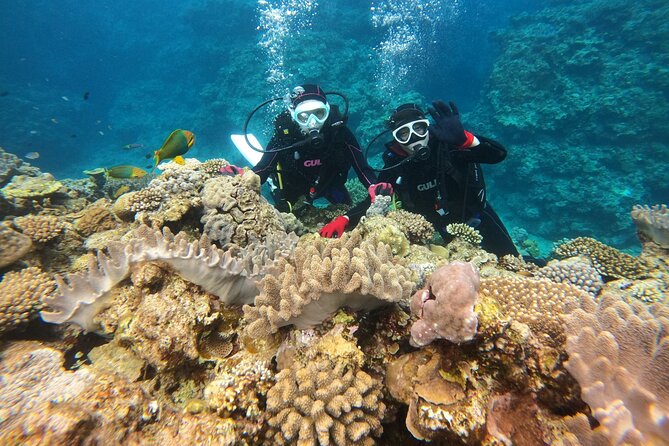Trial Boat Dive 1 DIve at Minna or Sesoko , Okinawa - Inclusions and Whats Provided
