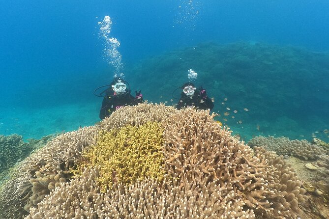 Trial Boat Dive 2 DIves at Minna or Sesoko, Okinawa - Pricing and Refund Policy