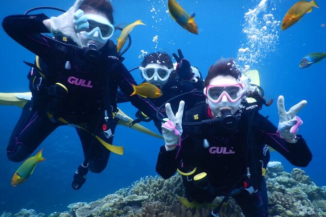 Trial Boat Dive 2 DIves at Nakijin, Motobu, Okinawa - Key Points