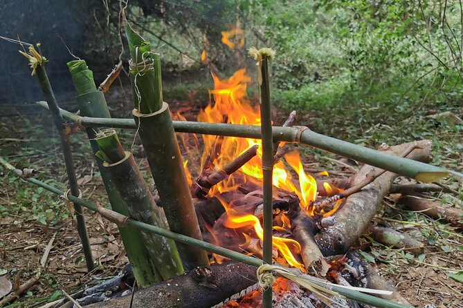 Tribal Cooking Class in Luang Prabang Forest and Visit - Discovering Exotic Edible Plants in the Forest