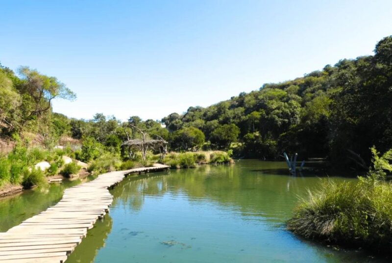Tricao Park - Recommended Packing List