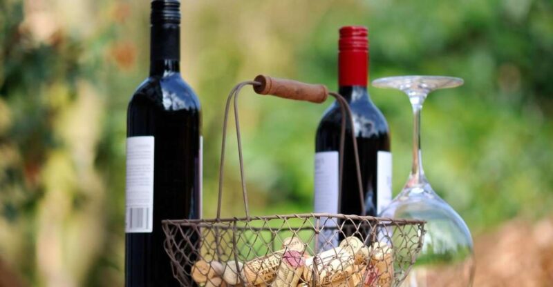 Trieste: Cividale Del Friuli and Wine Tastings - Itinerary Highlights