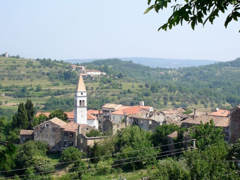 Trieste: Flavors of Istria Tour to Hum, Grožnjan, & Motovun - Culinary Delights