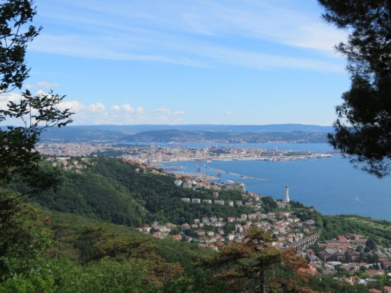 Trieste Panoramic City and Miramare Castle Tour - Tour Overview