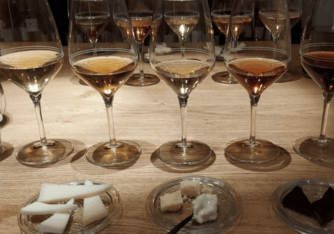 Trieste: Wine Tasting From Istria, Carso and Friuli Terroirs - Discovering the Adriatic Anchovy and Malvazija Pairing